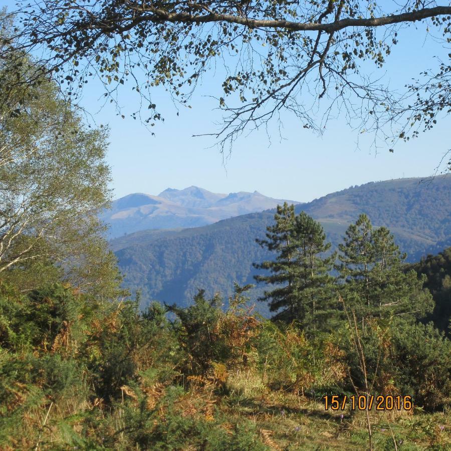 Les Chalets D'Alzen Esterno foto